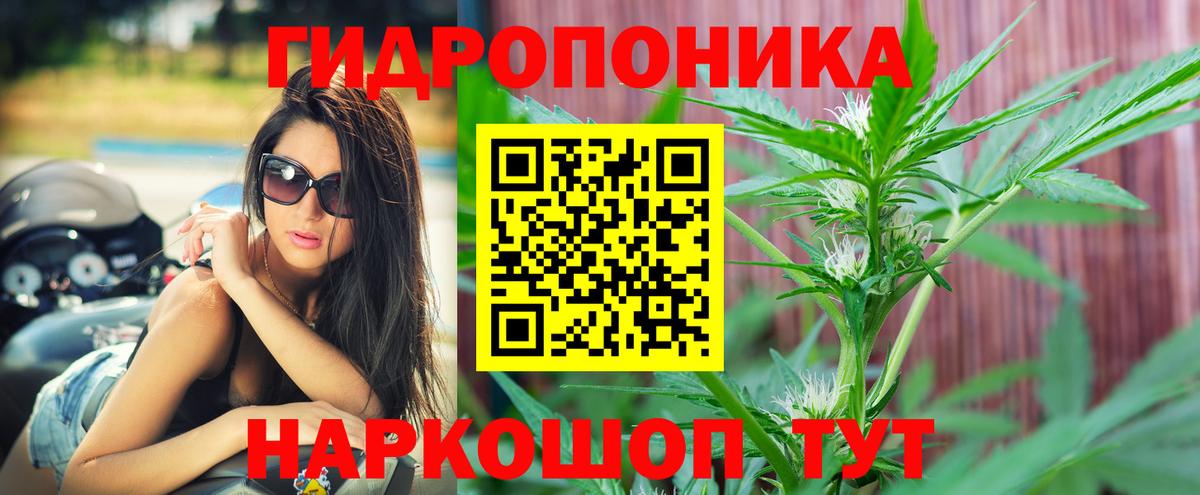МАРИХУАНА гибрид Знаменск